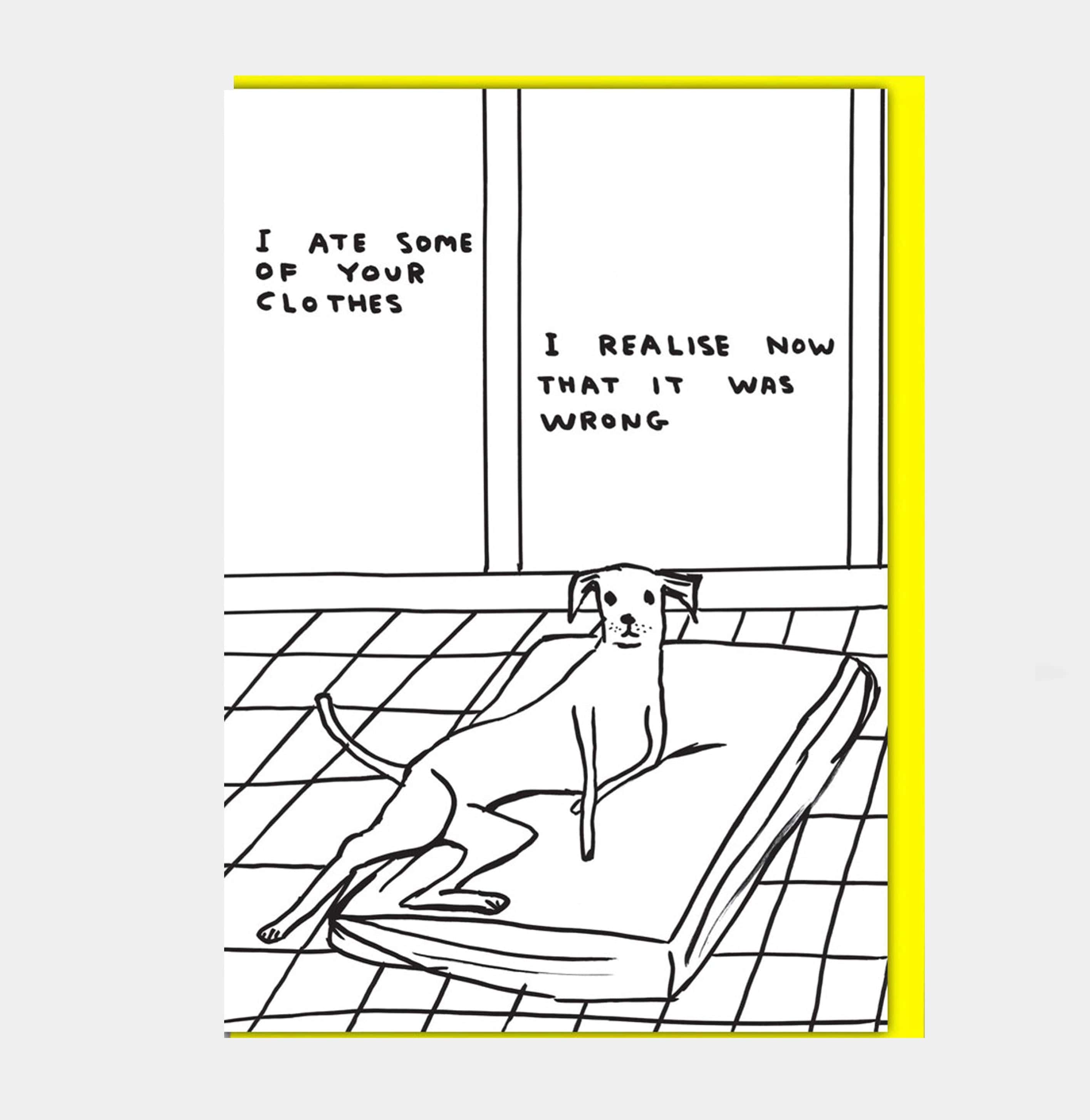 David Shrigley Funny Greetings Card Ate Your Clothes GREETINGS CARDS  - ZIGZAG Footwear