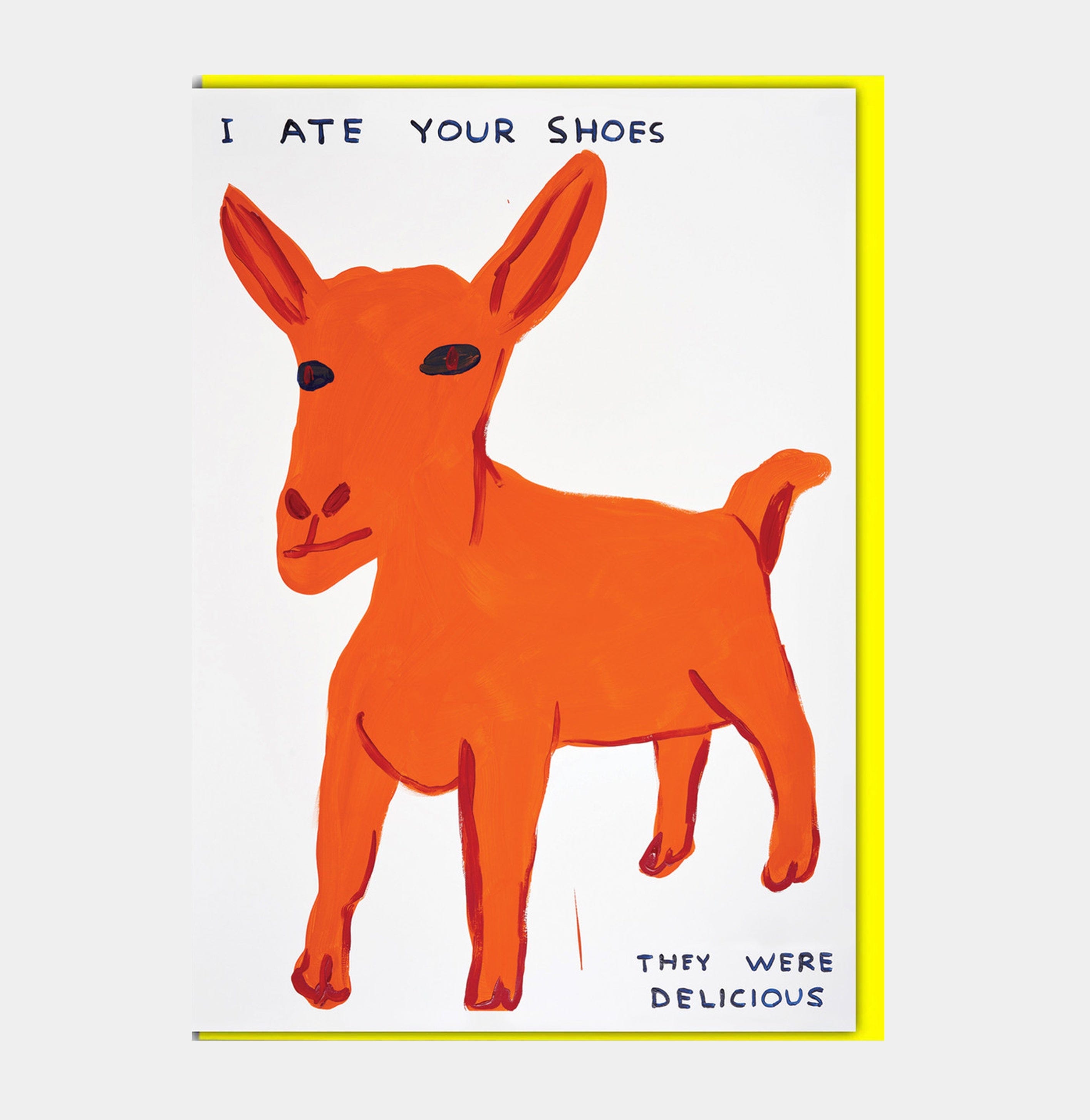 David Shrigley Funny Greetings Card Ate Your Shoes GREETINGS CARDS  - ZIGZAG Footwear