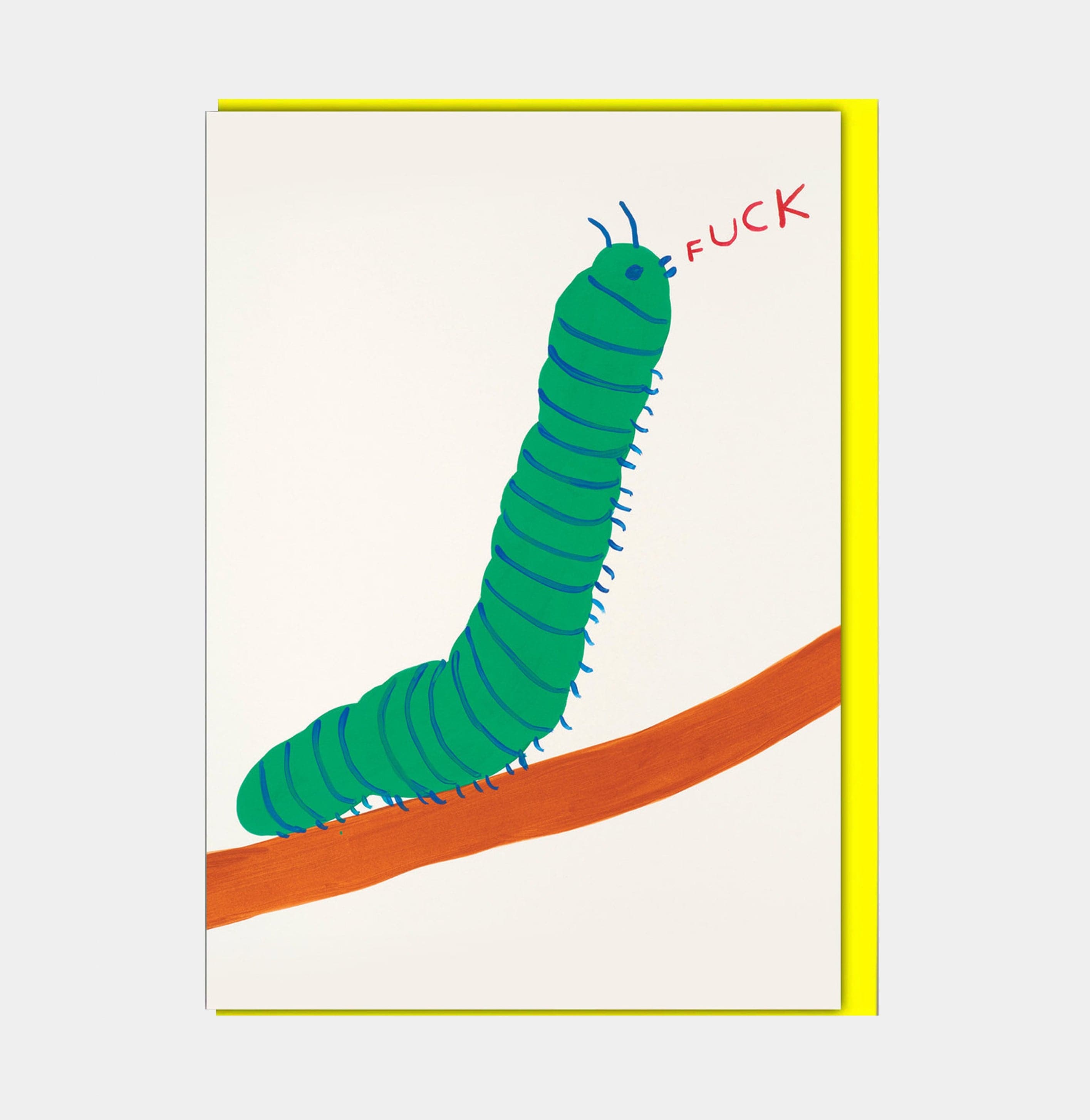 David Shrigley Funny Greetings Card Caterpillar GREETINGS CARDS  - ZIGZAG Footwear