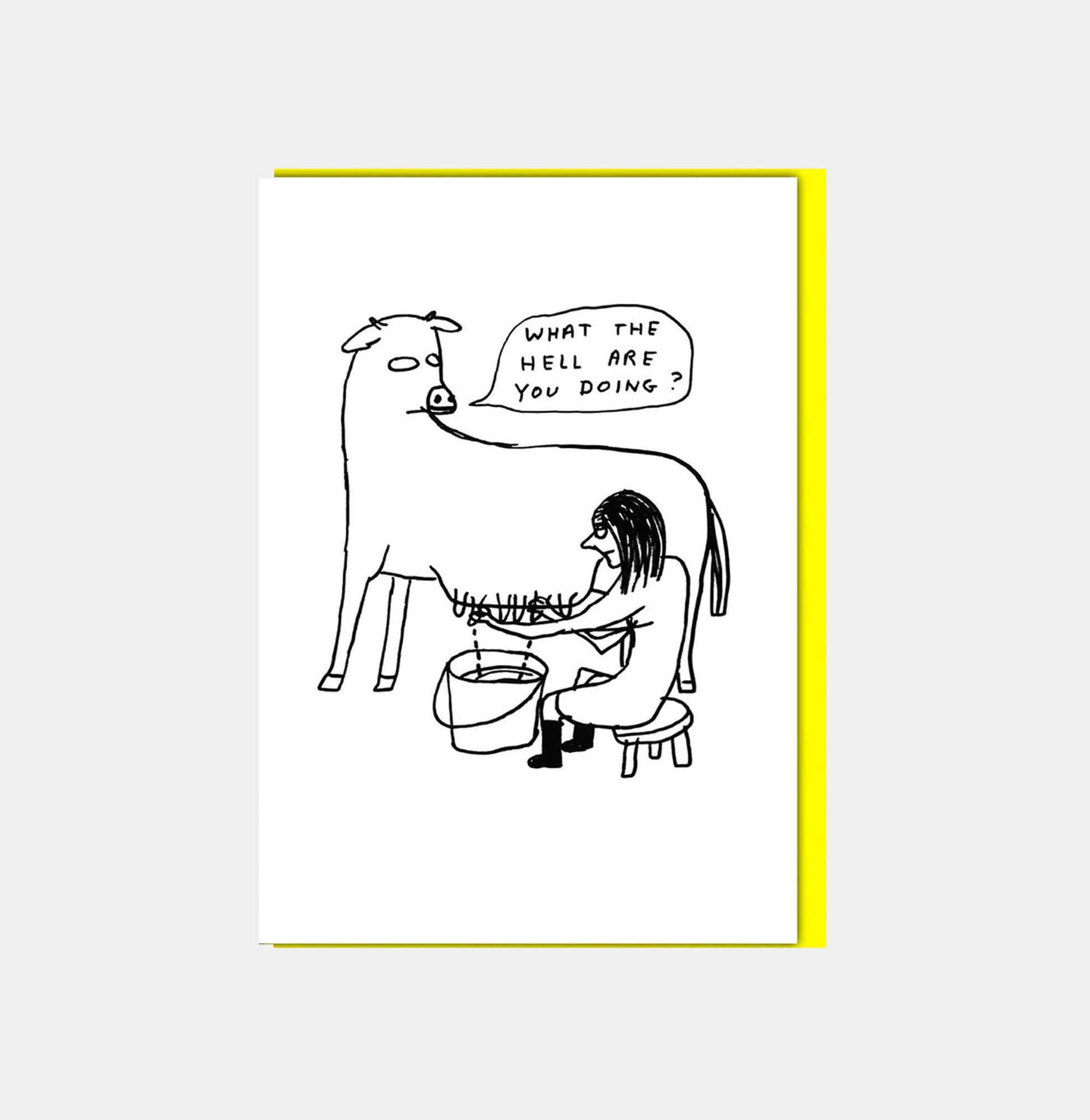 David Shrigley Funny Greetings Card What The Hell GREETINGS CARDS  - ZIGZAG Footwear